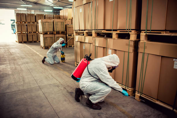 Best Best Pest Control Near Me  in Twin Lakes, CA