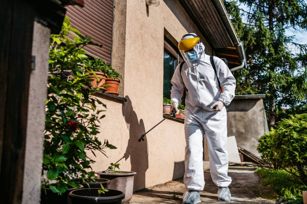 Best Best Pest Control Companies  in Twin Lakes, CA