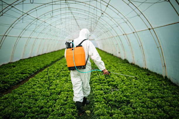 Best Affordable Pest Control Services  in Twin Lakes, CA