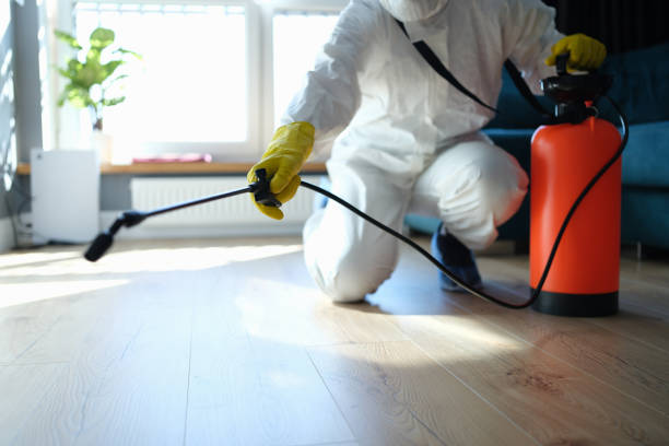 Best Wasp Removal Services  in Twin Lakes, CA