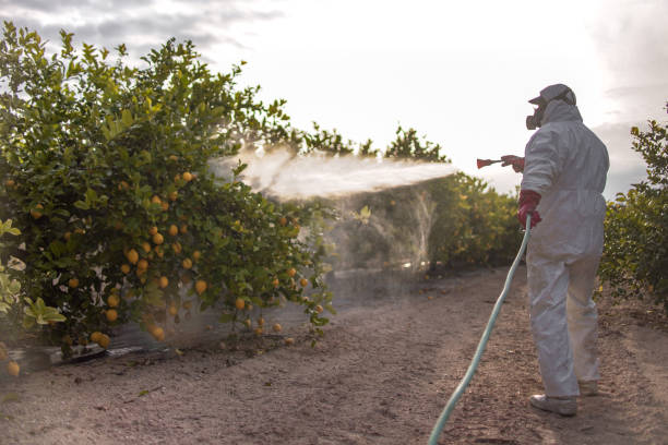 Best Wildlife Control Services  in Twin Lakes, CA