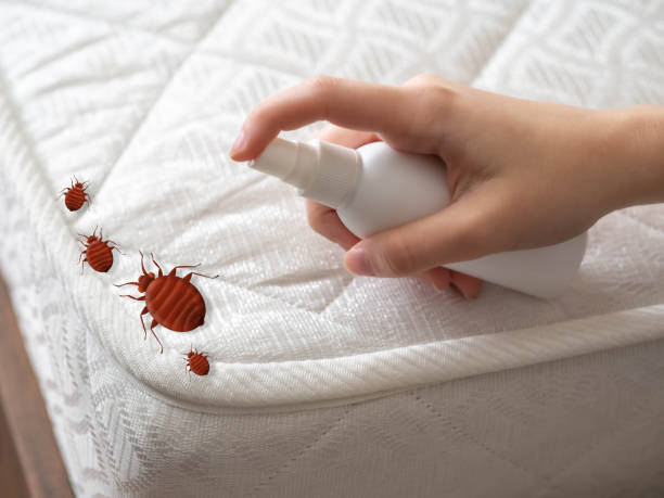 Best Pest Removal Services  in Twin Lakes, CA