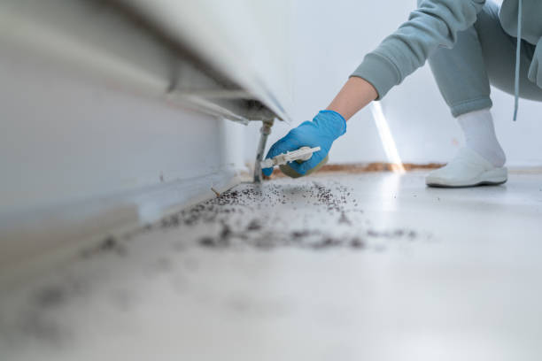 Best Pest Inspection Near Me  in Twin Lakes, CA