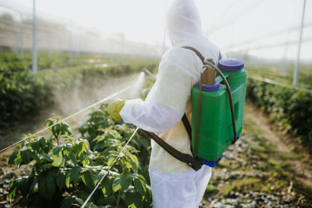 Best Bed Bug Extermination  in Twin Lakes, CA